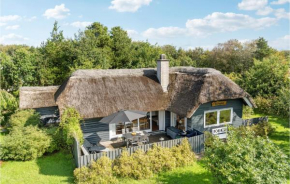 Amazing Home In Hemmet With Wifi